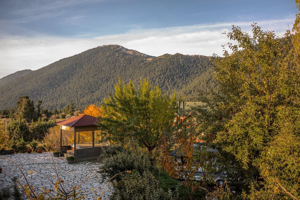 Boutique Hotel Skamnos Arachova Dış mekan fotoğraf