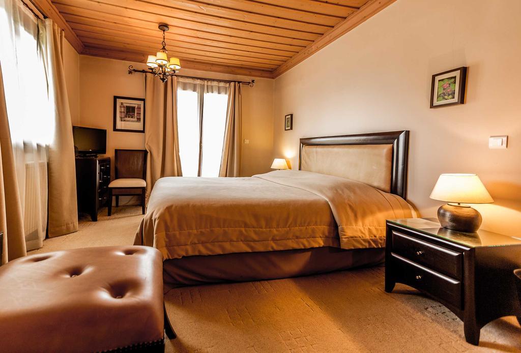 Boutique Hotel Skamnos Arachova Dış mekan fotoğraf